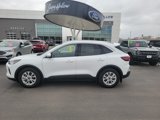 Used 2023 Ford Escape Active w/ Tech Pack #2 image 2