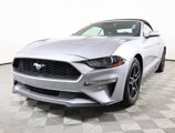 Used 2023 Ford Mustang Premium image 2