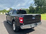 Used 2019 Ford F150 XLT w/ Equipment Group 302A Luxury image 5