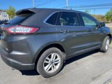 Used 2016 Ford Edge SEL w/ Equipment Group 201A image 3