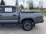 Used 2021 Toyota Tacoma TRD Sport w/ Technology Package image 4