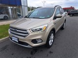 Used 2017 Ford Escape SE w/ SE Leather Comfort Package image 2