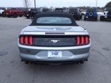 Certified 2022 Ford Mustang Premium image 4