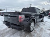 Used 2013 Ford F150 Limited image 6