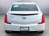 Used 2019 Cadillac XTS Premium Luxury image 4