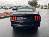Used 2017 Ford Mustang Premium image 4