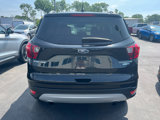 Used 2019 Ford Escape Titanium image 4