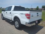 Used 2013 Ford F150 XLT w/ Luxury Equipment Group image 5