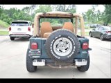 Used 1993 Jeep Wrangler 4WD image 3