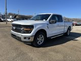 New 2025 Ford F150 XLT w/ Equipment Group 301A Standard image 4