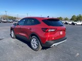 New 2025 Ford Escape Active w/ Tech Pack #1 image 5