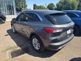 Used 2022 Ford Escape SE image 3