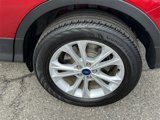 Used 2019 Ford Escape SEL image 5