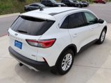 Used 2022 Ford Escape SE w/ Convenience Package image 5