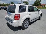 Used 2010 Ford Escape Limited image 5