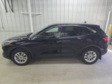 Certified 2021 Ford Escape SE image 4
