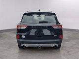 Used 2020 Ford Escape SEL image 5