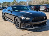 Used 2017 Ford Mustang GT Premium w/ Equipment Group 401A image 4