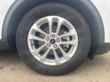 Used 2020 Ford Escape SE image 5
