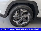 Used 2022 Hyundai Tucson SEL w/ Cargo Package image 5