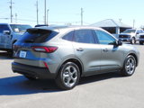 New 2025 Ford Escape ST-Line w/ Tech Pack #1 image 5