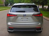 Used 2019 Lexus NX 300h AWD w/ Premium Package image 6