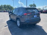 Used 2019 Toyota RAV4 XLE image 5