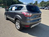 Used 2017 Ford Escape SE image 3