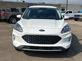 Certified 2022 Ford Escape SEL image 2