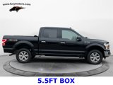 Used 2019 Ford F150 XLT w/ Equipment Group 302A Luxury image 2