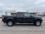 Used 2012 Ford F150 XLT w/ XLT Chrome Pkg image 4