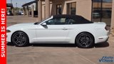 Certified 2022 Ford Mustang Premium image 4