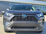 Used 2024 Toyota RAV4 XLE Premium w/ Weather Package image 4