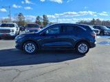 Used 2020 Ford Escape SE image 2