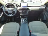 Used 2020 Ford Escape SE image 2