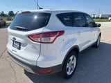 Used 2014 Ford Escape SE image 3