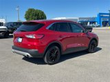 Used 2020 Ford Escape SE image 4