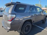 Certified 2022 Toyota 4Runner SR5 Premium image 5