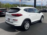 Used 2020 Hyundai Tucson Value image 4