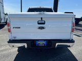 Used 2013 Ford F150 XLT w/ Luxury Equipment Group image 4