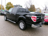 Used 2013 Ford F150 XLT w/ Luxury Equipment Group image 4