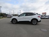 Used 2020 Ford Escape SE Sport image 5