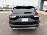 Used 2022 Ford Escape SEL image 4