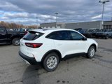 New 2025 Ford Escape Active w/ Cold Weather Package image 5