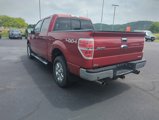 Used 2013 Ford F150 XLT w/ Luxury Equipment Group image 3