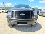 Used 2014 Ford F150 STX w/ Equipment Group 201A Mid image 2