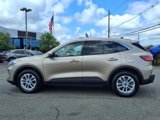 Certified 2020 Ford Escape SE image 4