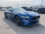 Certified 2022 Ford Mustang Premium image 4