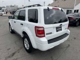 Used 2009 Ford Escape 4WD Hybrid image 3