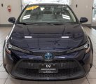 Used 2020 Toyota Corolla LE image 4